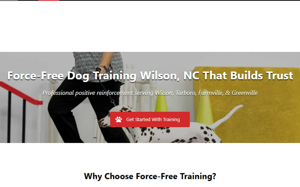 Spot On Dog Training website built by Kelot Digital